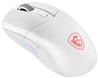 MSI VERSA 300 ELITE WIRELESS WHITE Right-handed Gaming Mice - White, 6 Buttons, 26000 DPI (VERSA 300 ELITE W WHITE)