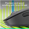 Souris sans fil LOGITECH CORE Signature M650 - Graphite (910-006250)