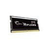 G.SKILL Ripjaws 32 Go (1x32 Go) DDR5 5600 MHz CL46 1,10 V SODIMM