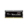 G.SKILL Ripjaws 32 Go (1x32 Go) DDR5 5600 MHz CL46 1,10 V SODIMM