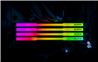 KLEVV CRAS V RGB 32 Go (2x16 Go) DDR5 6000 MHz CL28 UDIMM