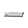 KLEVV BOLT V 32 Go (2x16 Go) DDR5 6000 MHz CL28 UDIMM