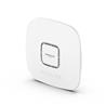 NETGEAR Wireless Access Point (WAX625)