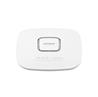 NETGEAR Wireless Access Point (WAX625)