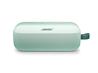 BOSE SoundLink Flex Sans fil Haut-parleurs (2e gén), Menthe Rosée