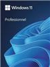 Microsoft Windows 11 Pro 64-Bit - FRENCH USB - Retail Pack (HAV-00156)