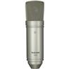 TASCAM TM-80 Studio Condenser Microphone, Silver