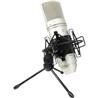 TASCAM TM-80 Studio Condenser Microphone, Silver