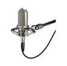 AUDIO TECHNICA AT4080 Bidirectional Active Ribbon Microphone