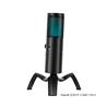 YANMAI Q18 RGB Perfect Sound Quality Studio Microphone, Black(Open Box)