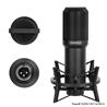 YANMAI Q10 Exclusive Design Patent Microphone with shock-mount, Black(Open Box)