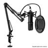 YANMAI Q10 Exclusive Design Patent Microphone with shock-mount, Black(Open Box)