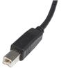 StarTech USB 2.0 Certified A to B Cable - M/M 6ft (USB2HAB6)