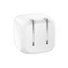 Belkin BoostCharge 45W USB-C Wall Charger