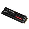 WD Black SN8100 1TB PCIe Gen5 NVMe M.2 2280 SSD with Heatsink