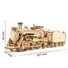 ROKR 3D Wooden Puzzle,Steam Train Set,DIY Enthusiasts