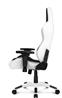 AKRacing Arctica Series Gaming Chair(Open Box)