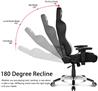 AKRacing Premium Series Gaming Chair, Silver & Black V2