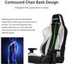 AKRacing Premium Series Gaming Chair, Silver & Black V2