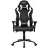 AKRacing Core Series SX  Chair White (AK-SX-WT)