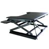 iCAN Electric Sit-Stand Desk