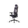 GTCHAIR inFlex Ergonomic Office Chair, Mesh, Black(Open Box)