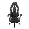 iCAN E-Series Gaming Chair, Black & White