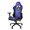 DragonWar Ergonomic Racing Chair