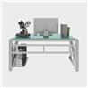 iCAN Modern Office Desk, 140*60*75cm, 7mm Tempered Glass Desktop, White(Open Box)