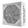 GIGABYTE Gaming 1000gm PG5 ICE 1000W 80 PLUS Gold ATX 12V Power Supply
